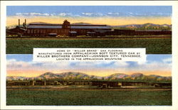 Home Of Miller Brand Johnson City, TN Postcard Postcard