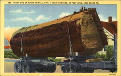 Giant Log En Route To Mill Logging Postcard Postcard