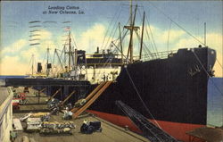 Loading Cotton At New Orleans, n Louisiana Postcard Postcard