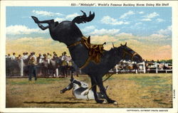 Midnight Rodeos Postcard Postcard