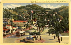 Crescent Avenue, Avalon Postcard