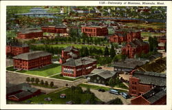 University Of Montana Postcard