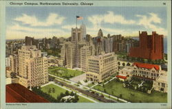 Chicago Campus, Northwestern University Illinois Postcard Postcard