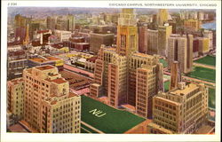 Chicago Campus, Northwestern University Postcard