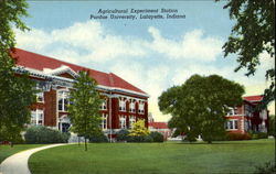 Agricultural Experiment Station, Purdue University Postcard