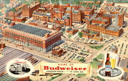 Home Of Budweiser Postcard