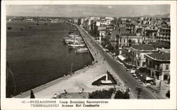 Avenue Roi Constantin Postcard