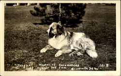 Jocque Master Of Ceremonies, Squaw Mt Inn Postcard