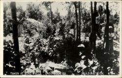 Taken At Bond Falls Ontonagon Co Paulding, MI Postcard Postcard