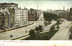 Commonwealth Ave. Postcard