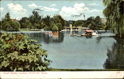 Pond Public Garden Postcard