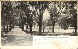 Boston Common And Frog Pond Postcard