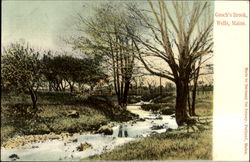 Gooch's Brook Wells, ME Postcard Postcard