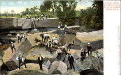 Scene From Bailey's Fall, Starved Rock Scenic, IL Postcard Postcard