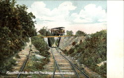 Five Mile Tree Bridge Switchback Railway Jim Thorpe, PA Postcard Postcard