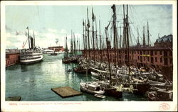 Fishing Schooners At T Wharf Postcard