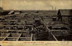 Cattle Pens And Alley U. S. Yards Chicago, IL Postcard Postcard