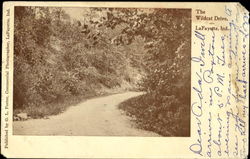 The Wildcat Drive LaFayette, IN Postcard Postcard