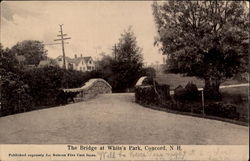 The Bridge At White's Park Postcard