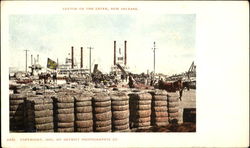 Cotton On The Lever Postcard