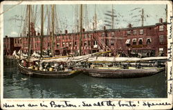 Fishing Schooners At T Wharf Boston, MA Postcard Postcard