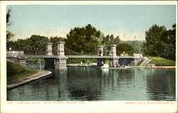 Lake And Bridge Public Gardens Postcard