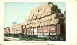 Train Loads Of Cotton For Export Postcard