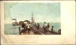 Fishing On Tampa Pier Florida Postcard Postcard