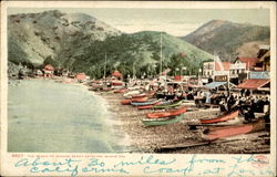 The Beach At Avalon Postcard