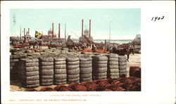 Cotton On The Levee New Orleans, LA Postcard Postcard