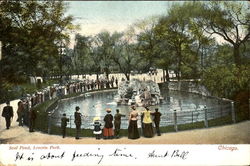 Seal Pond, Lincoln Park Chicago, IL Postcard Postcard