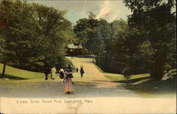 Drive, Forest Park Postcard