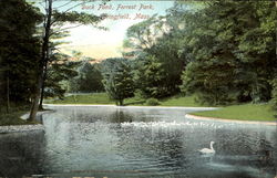 Duck Pond, Forest Park Springfield, MA Postcard Postcard