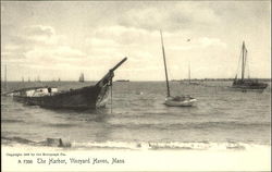 The Harbor Vineyard Haven, MA Postcard Postcard