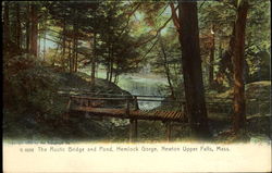 The Rustic Bridge And Pond, Hemlock Gorge Postcard