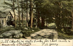 Lover's Lane St. Paul's School Concord, NH Postcard Postcard