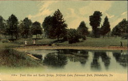 Pond Lilies And Rustic Bridge, Fairmount Park Postcard