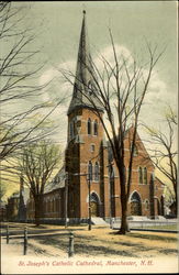 St. Joseph's Catholic Cathedral Postcard