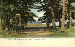 The Swings At The Pines Postcard