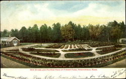 Hot House And Flower Beds In Forest Park Postcard