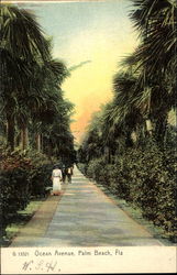 Ocean Avenue Palm Beach, FL Postcard Postcard