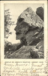 Profile On Joshua's Mountain Postcard