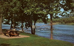 Susquehanna River Postcard