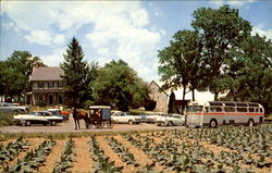 The Amish Farm & House, U. S. Rt. 30, 6 Miles East Lancaster, PA Postcard Postcard