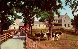 The Amish Homestead, Located on U.S. Route 30 - 3 Miles East Lancaster, PA Postcard Postcard