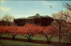 Carnegie Institute And Carnegie Library Of Pittsburgh Pennsylvania Postcard Postcard