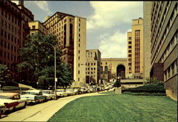 Desoto Avenue, University of Pittsburgh Postcard