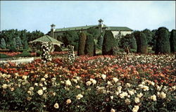 Hershey Rose Gardens And Arboretum Postcard