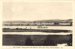 The Purdy sailing down Saint John River Postcard