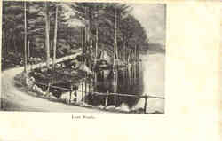 Lynn Woods Postcard